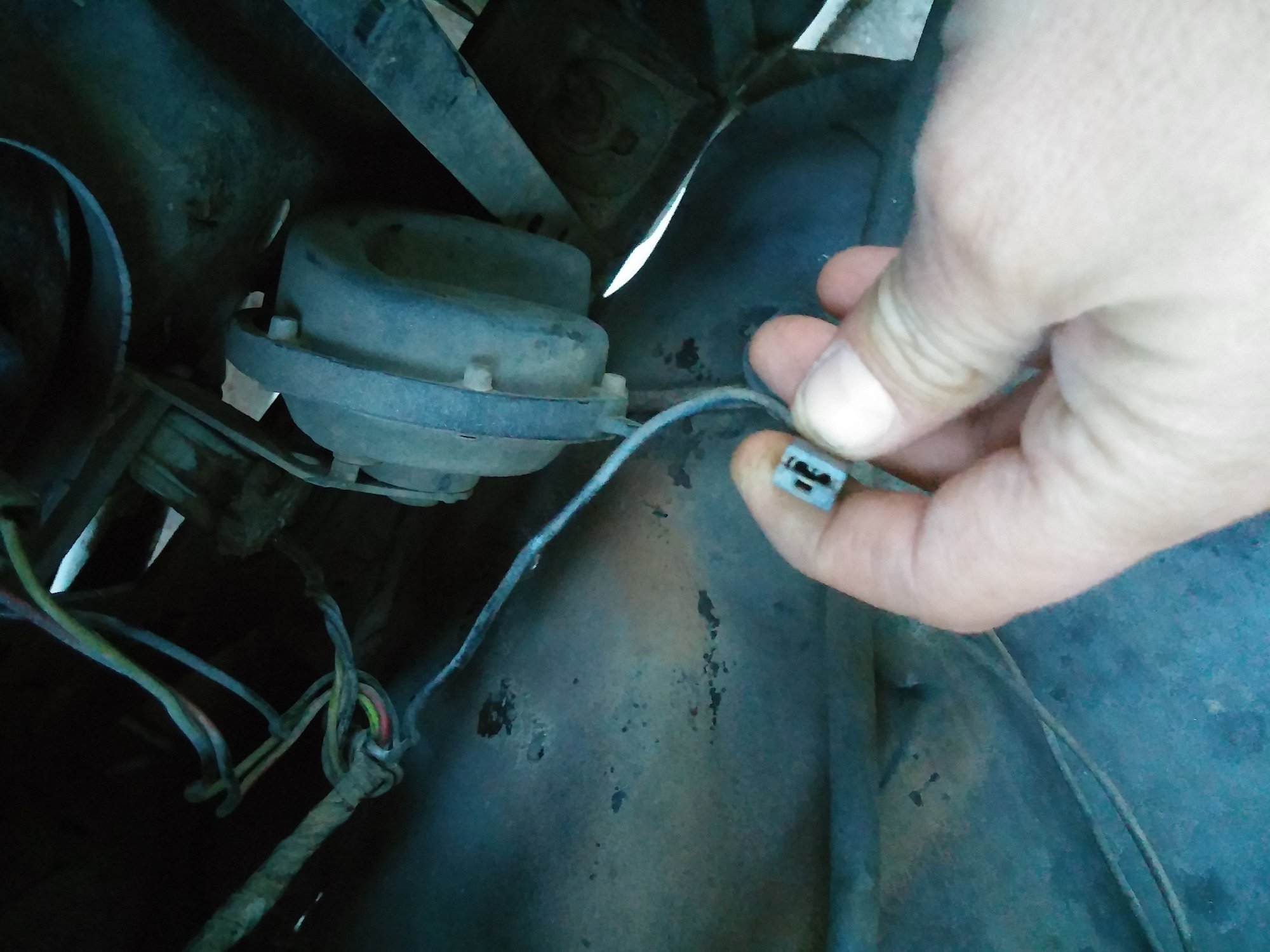 Horn Not working. Steering column changed to one with cruise control