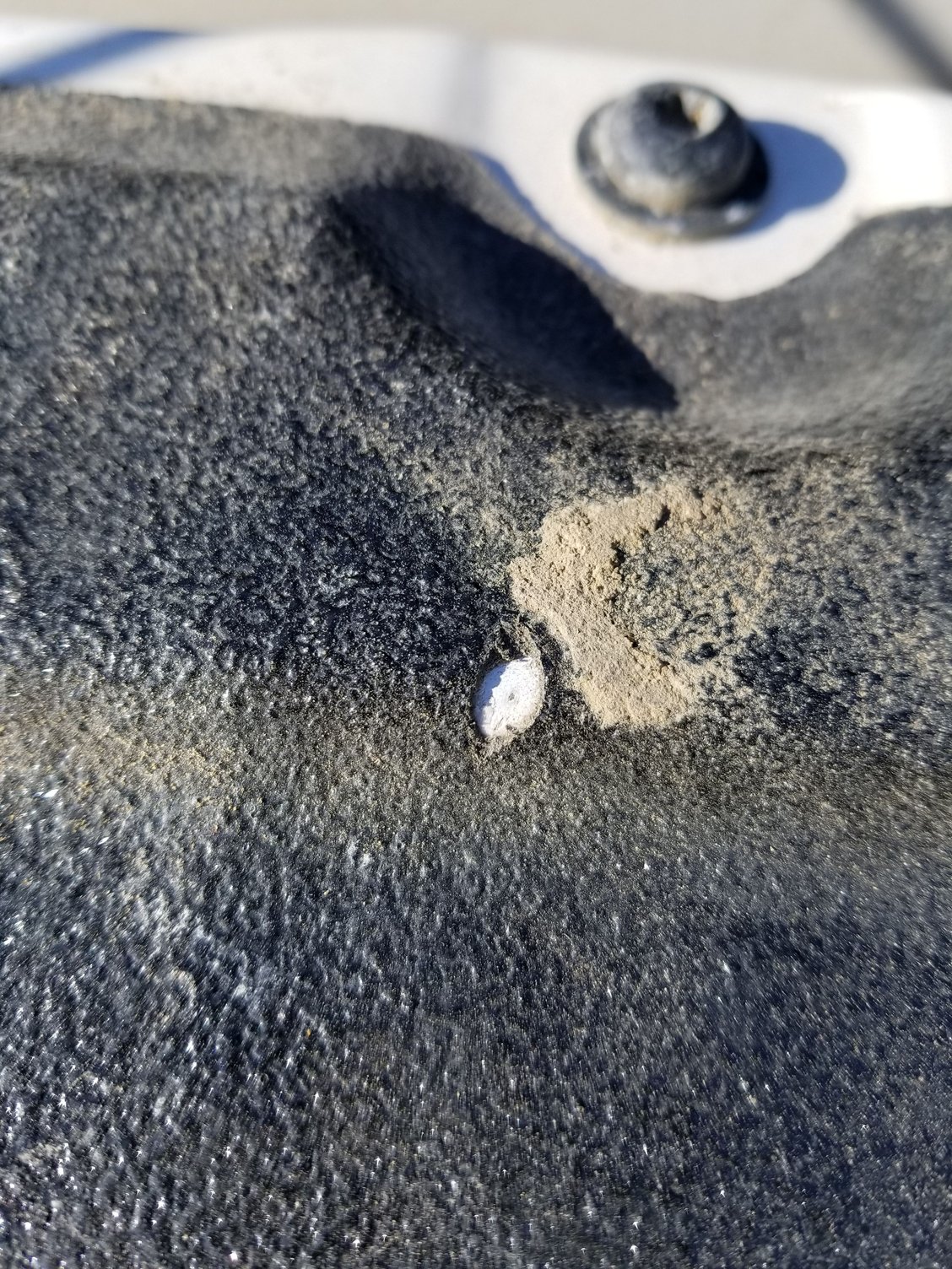 chip in bed liner advise? Ford Truck Enthusiasts Forums