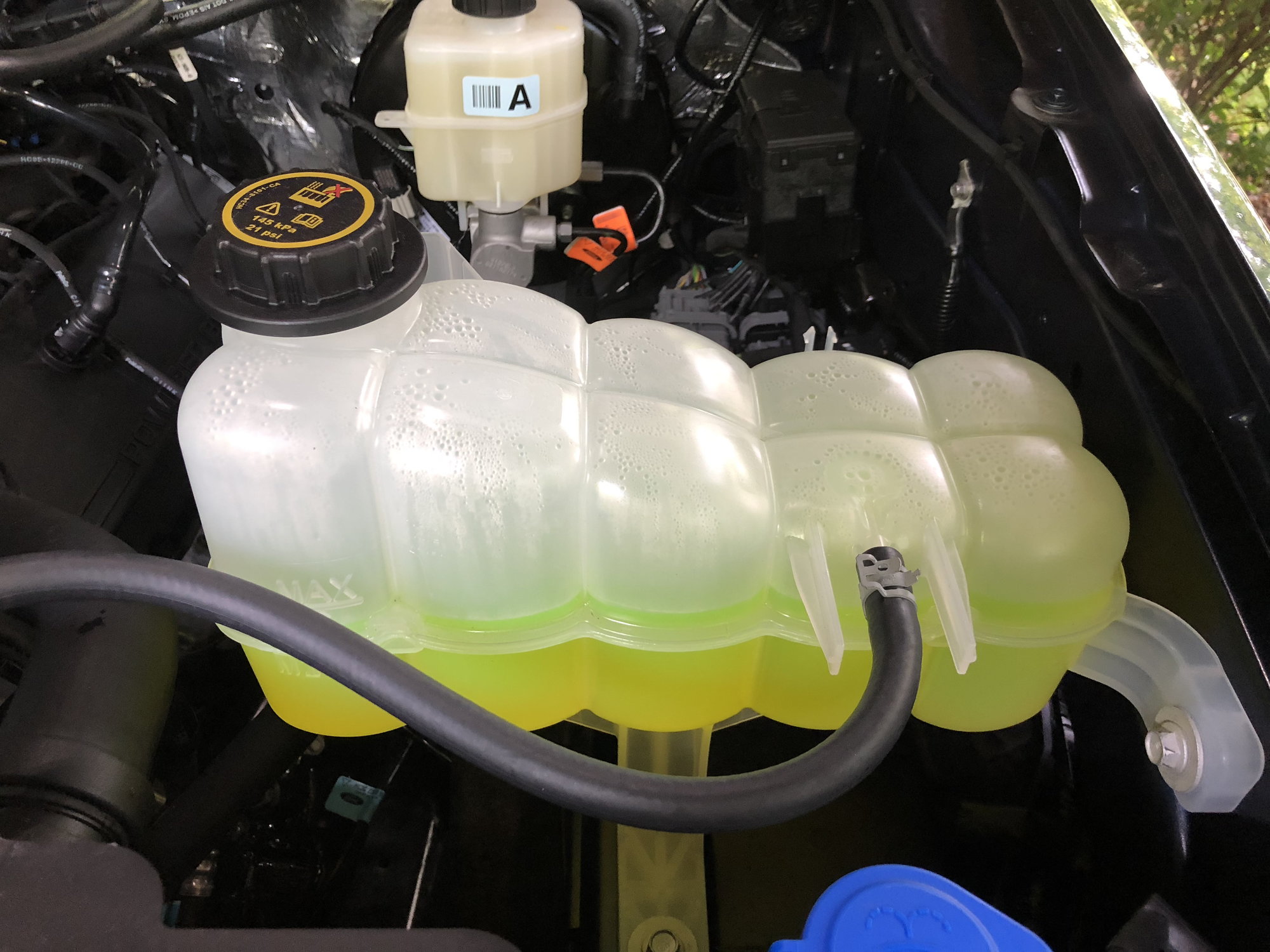 ford green coolant