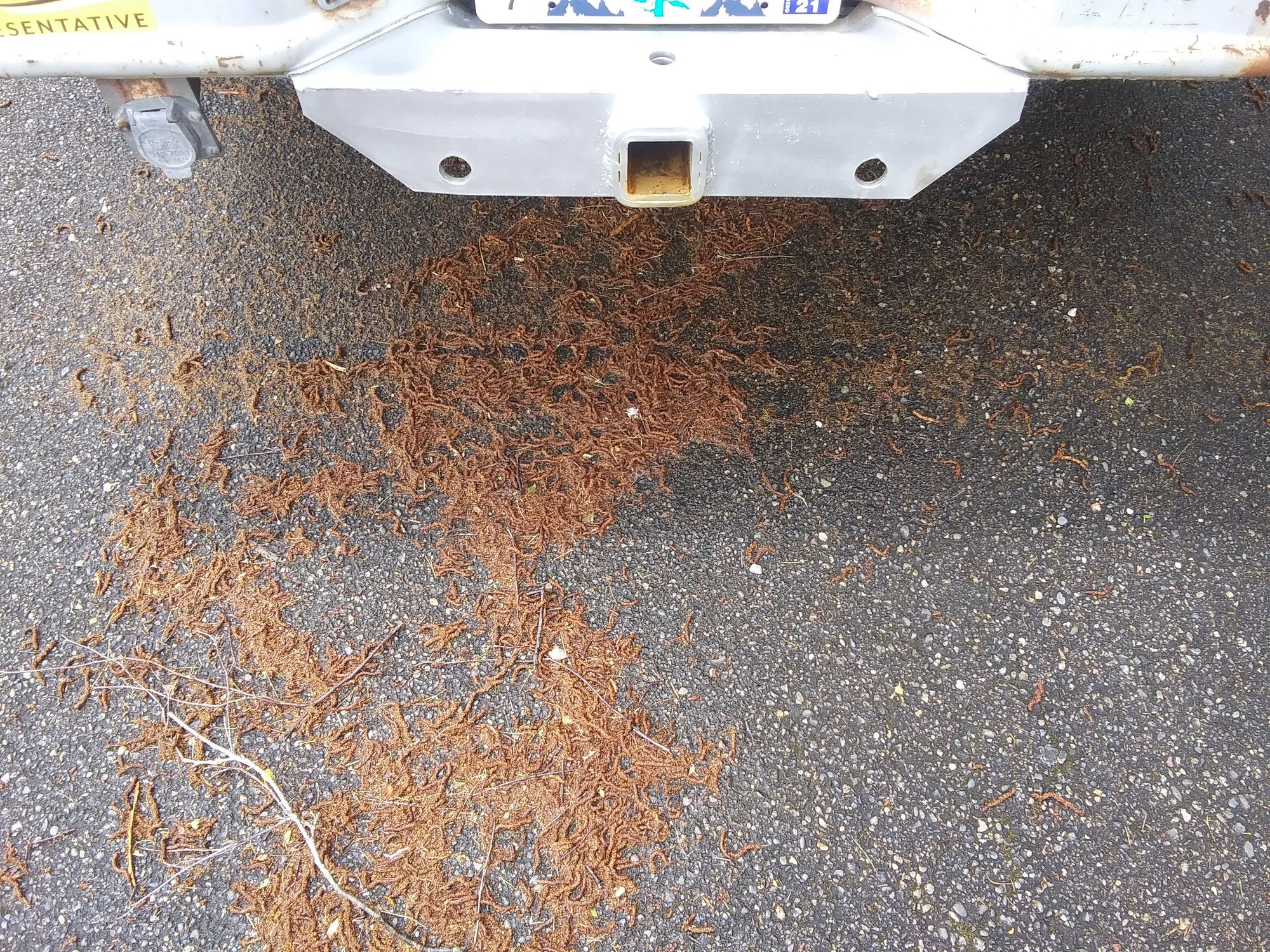 Pulling Bumper Hitch up to 14k Ford Truck Enthusiasts Forums