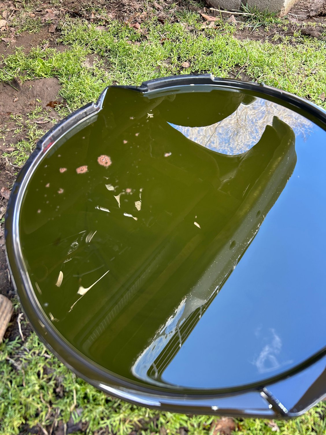 Trans fluid color