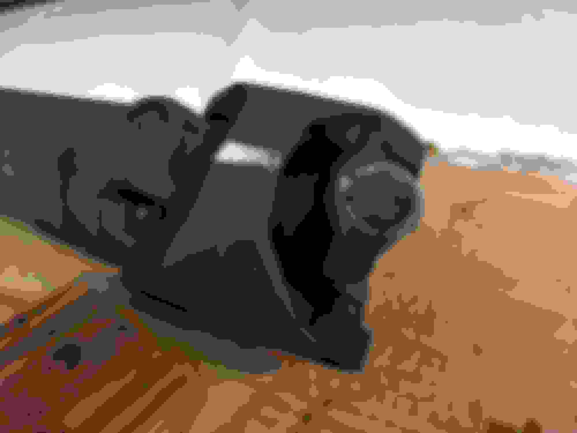 Double Cardan centering ball needle grease fitting Ford Truck