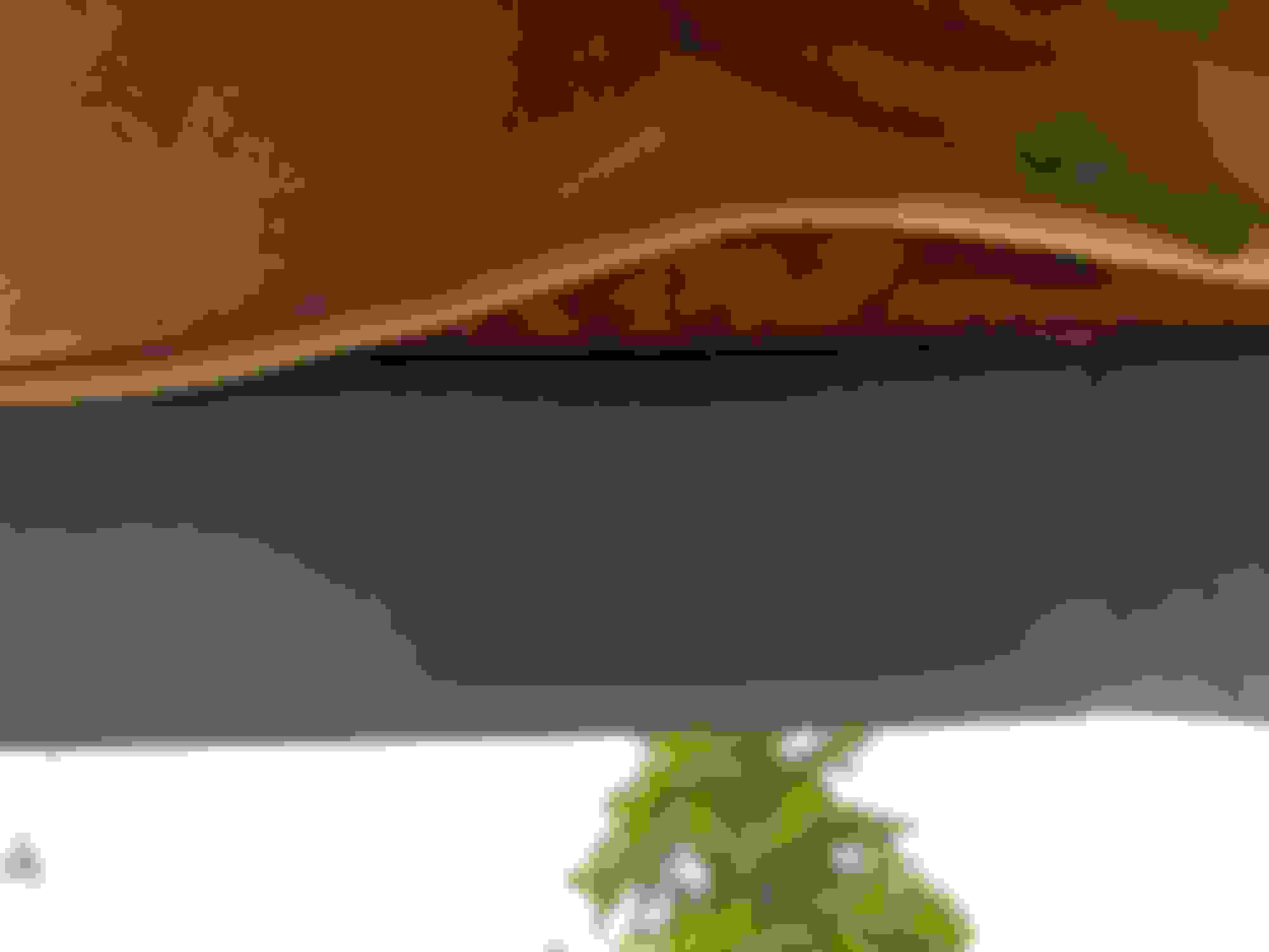 !984 Interior roof molding removal Ford Truck Enthusiasts Forums