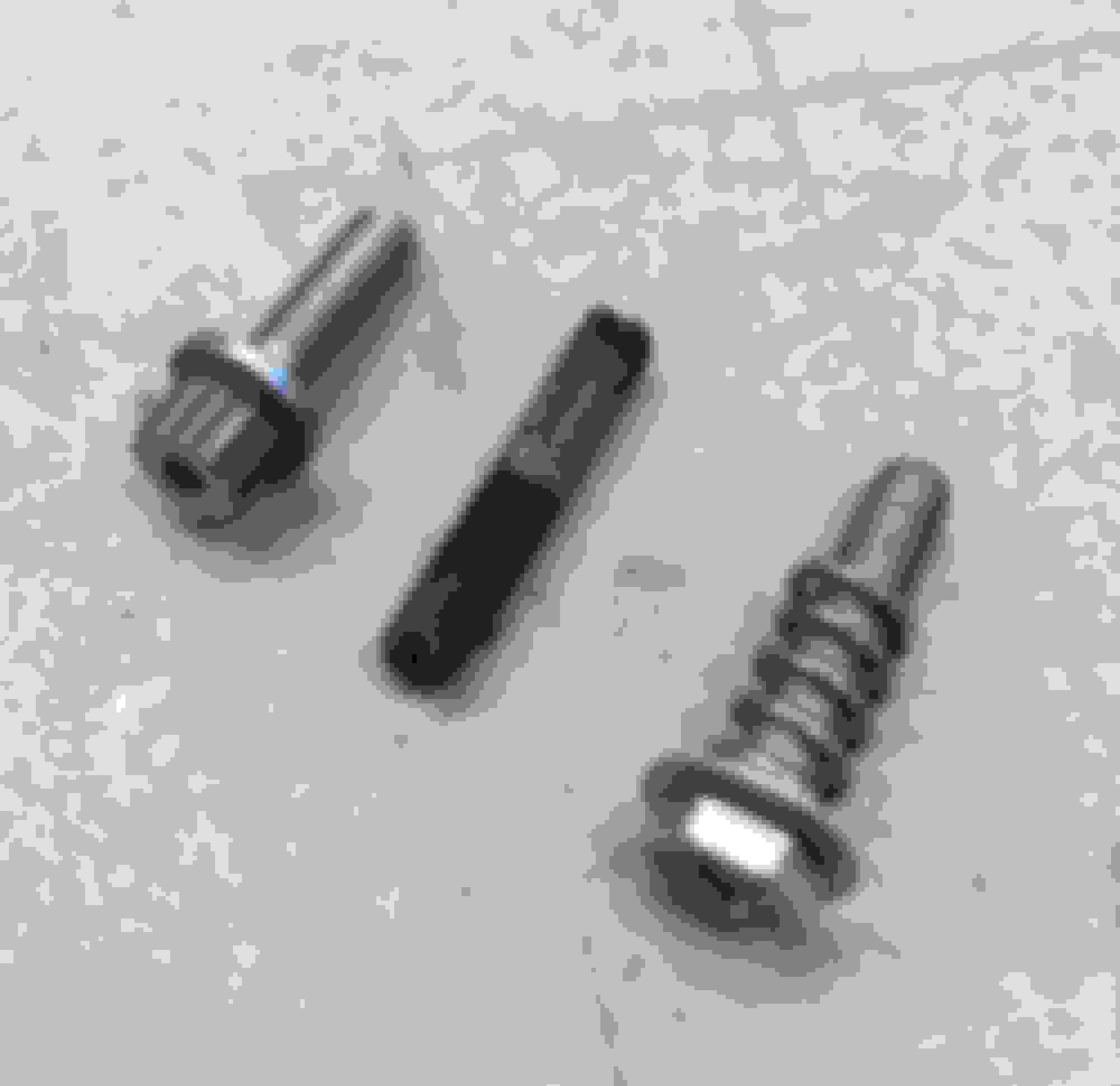 Threadlock for Idle Speed Screw? - Ford Truck Enthusiasts Forums