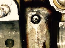 The screw in the port.