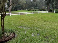 Looking towards the neighbor’s yard. We had 2 more taken down in their yard that were growing at a pretty steep angle over our property. One of them was actually over our house. 