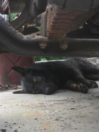 He was supposed to be helping