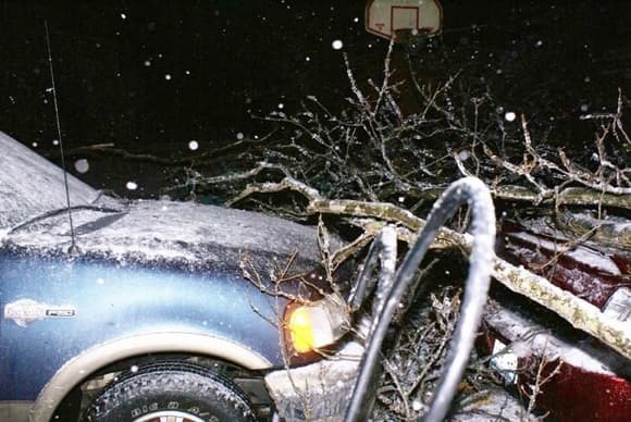 Tree limb that fell on our 2008 Mercury Sable Premier and my 2002 F-150 King Ranch