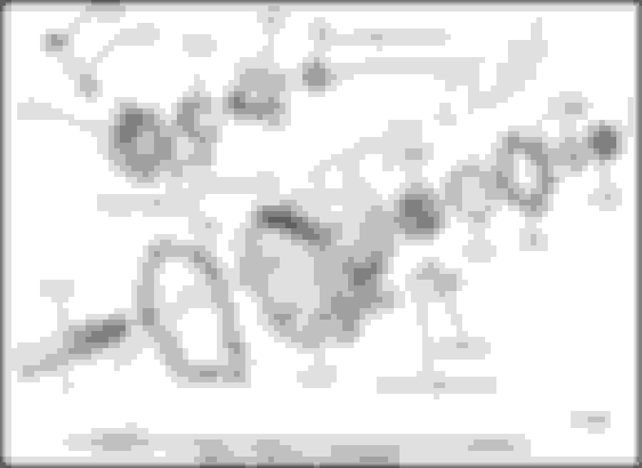 C6 mystery gasket Ford Truck Enthusiasts Forums