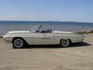 My 1963 Thunderbird