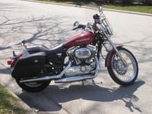 2006 Harley Davidson Sportster Custom