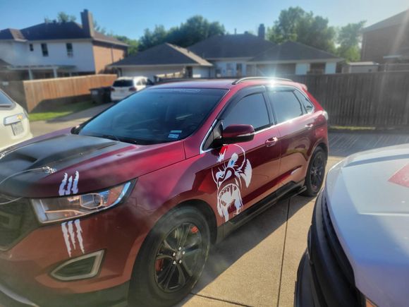 This is ruby and all her glory.  She turned out better then what I have ever thought