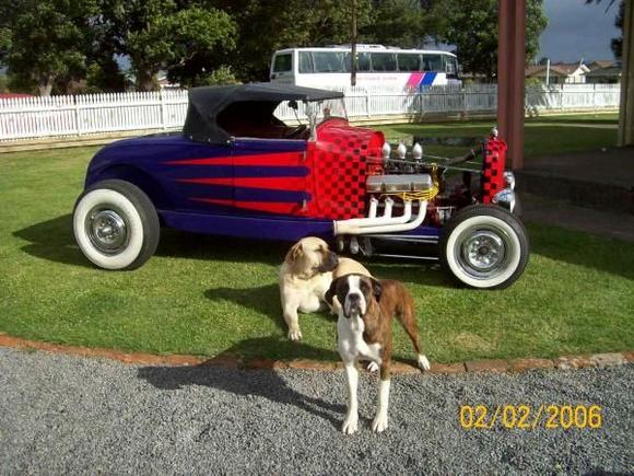 better pic of hot rod with a fe 390