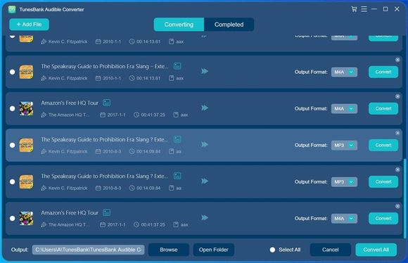remove Audible DRM and convert Audible to MP3