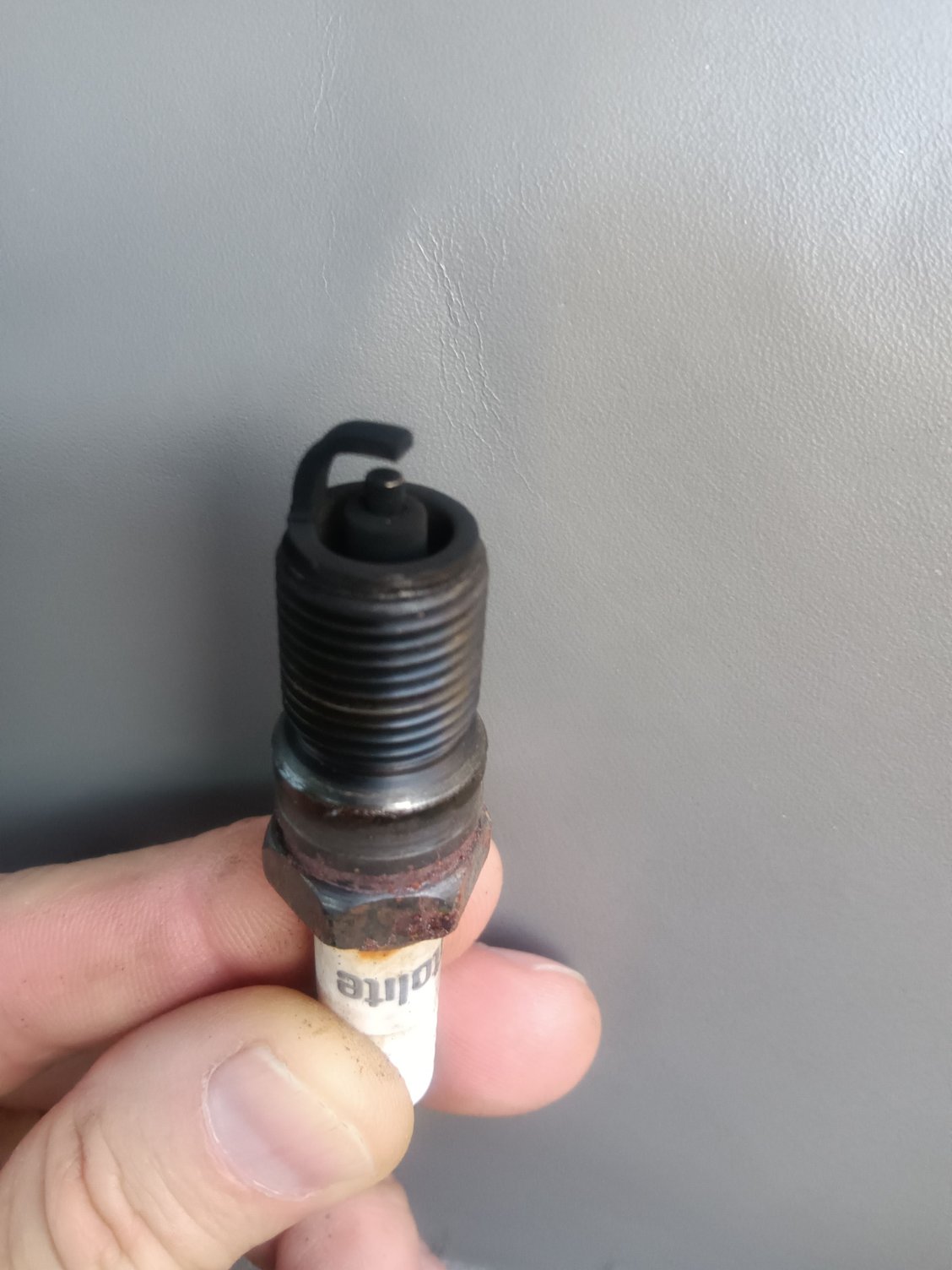 General appearance of all plugs.