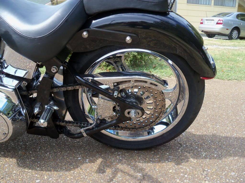 1999 Dyna FXD (Zippers Performance) Chain Kit Harley Davidson Forums