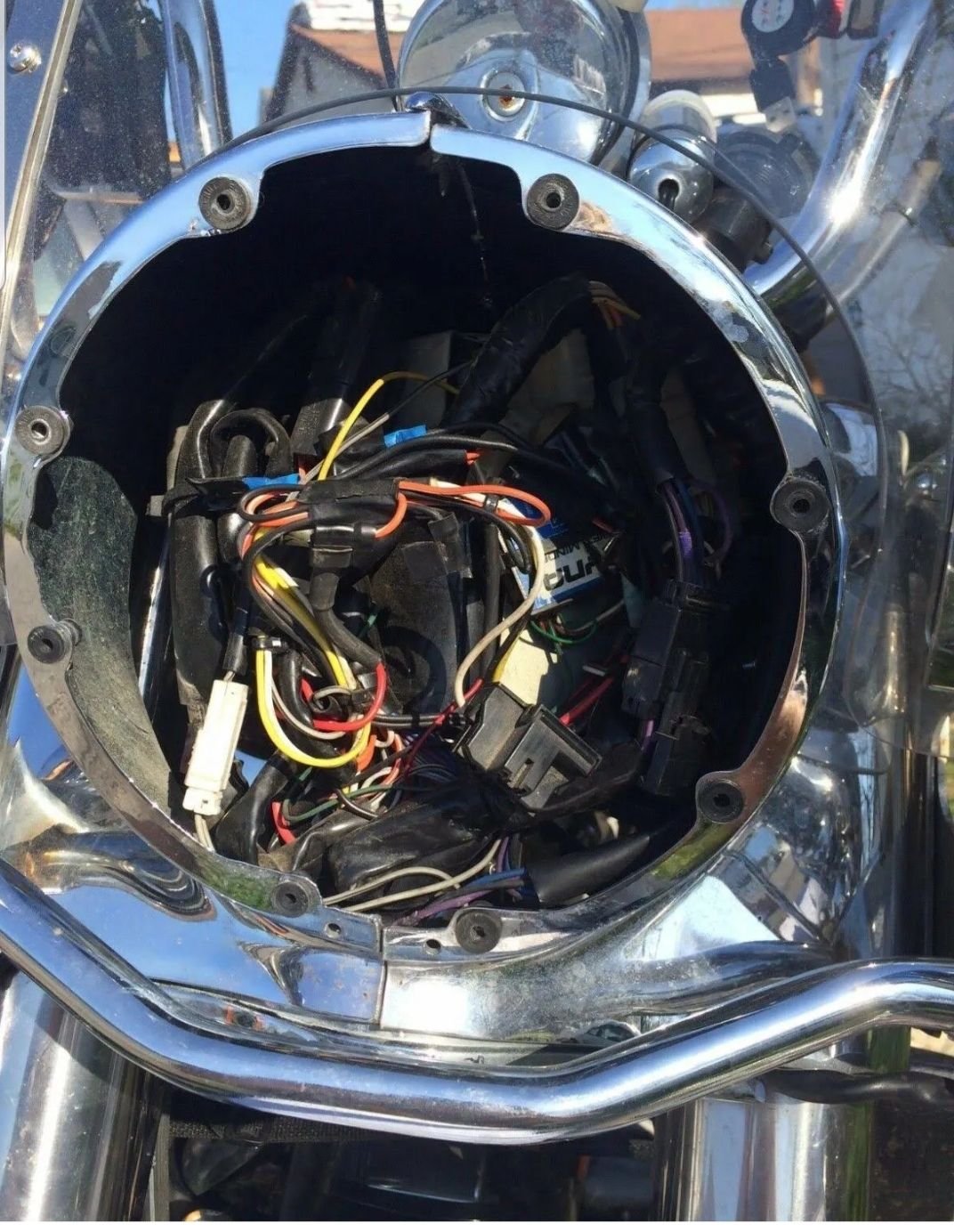 Well Nuts Harley Davidson Forums