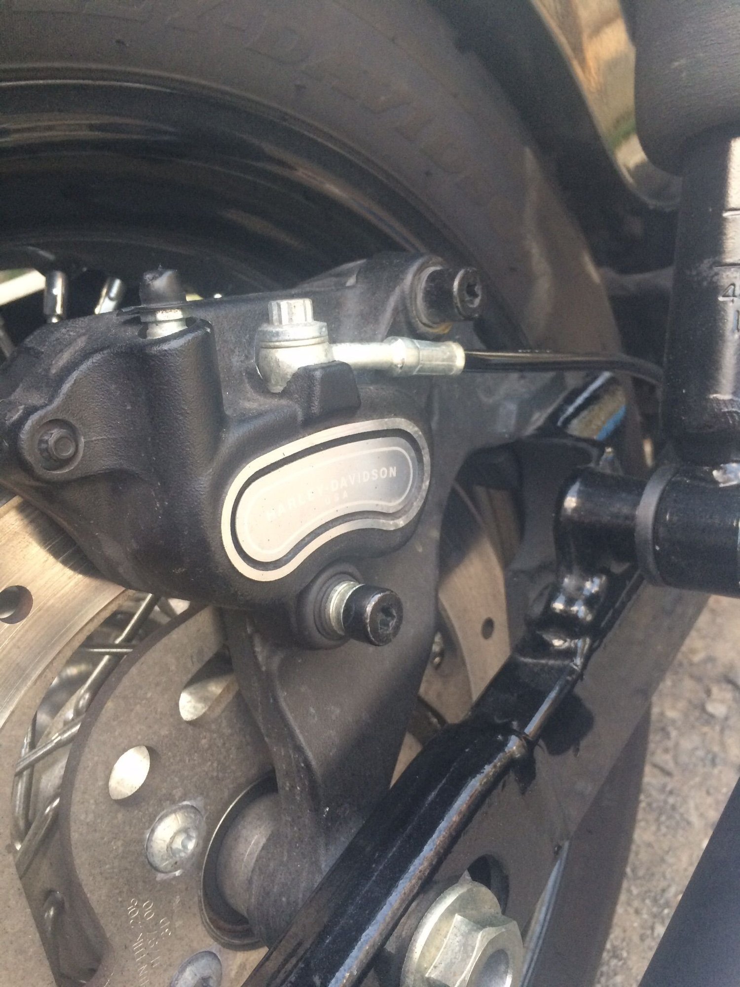 Rear brake chatter Harley Davidson Forums