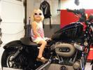 nightster