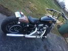 sportsters