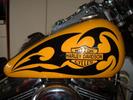 some general pics of bikes and stuff