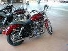 09 Sportster