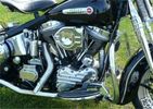 Softail