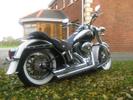 softail deluxe