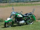 79 Skoal Bandit Sportster