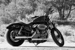 2009 Harley-Davidson Nightster
