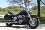 Softail