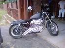 My Sportsters