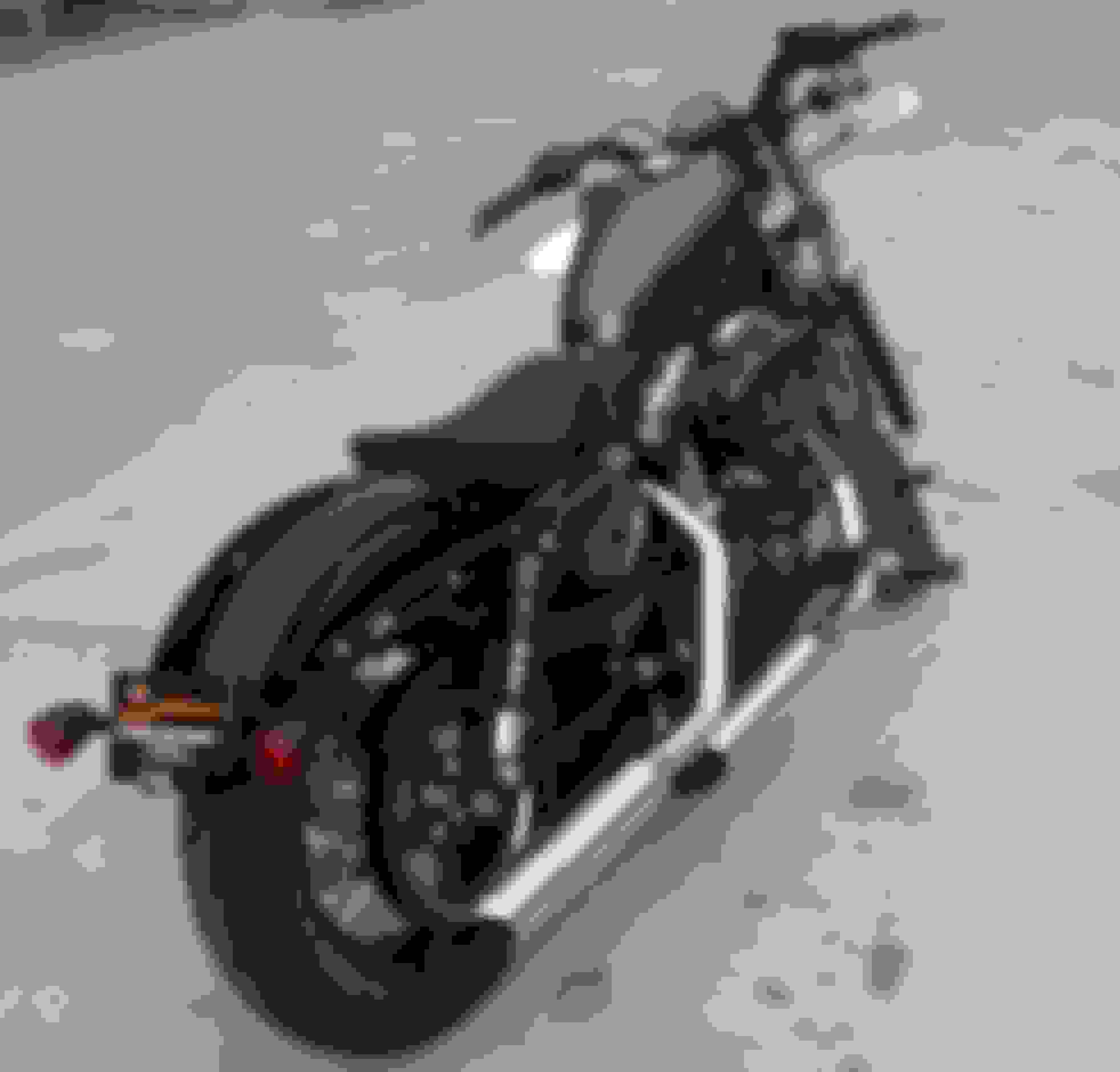 license plate bracket? Harley Davidson Forums