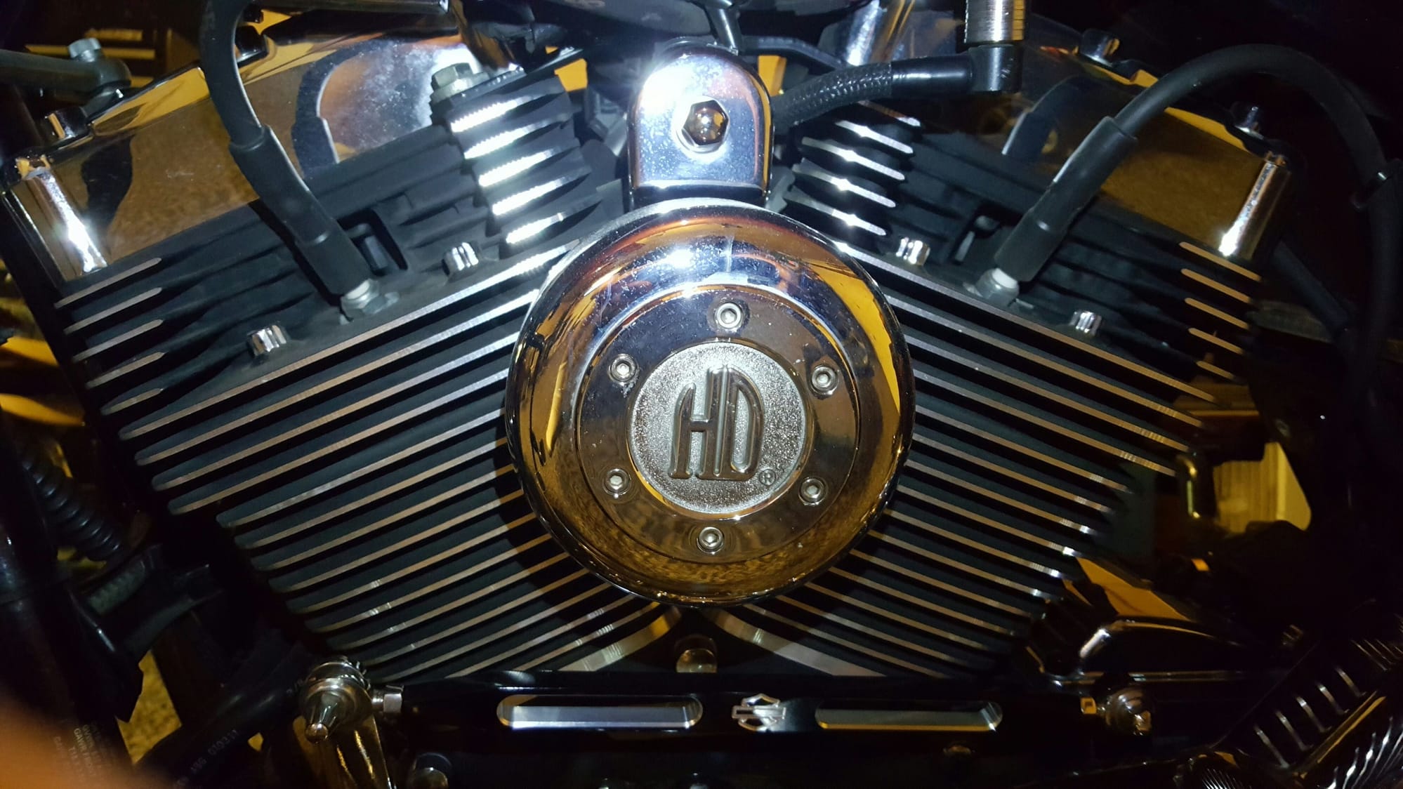 Lets see those horn covers - Harley Davidson Forums