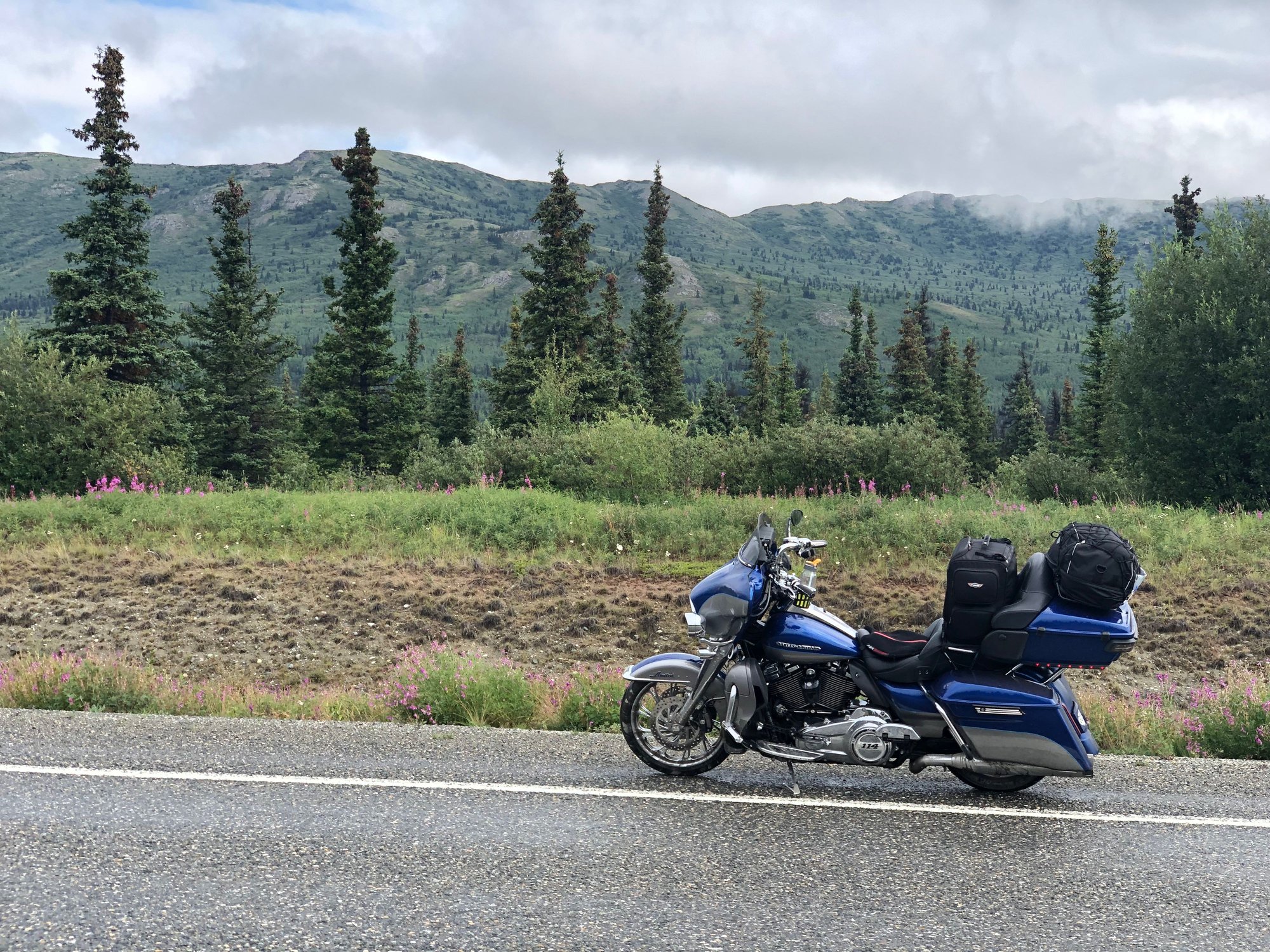 Alaska 2019 Starts Today July 14th Page 7 Harley Davidson Forums