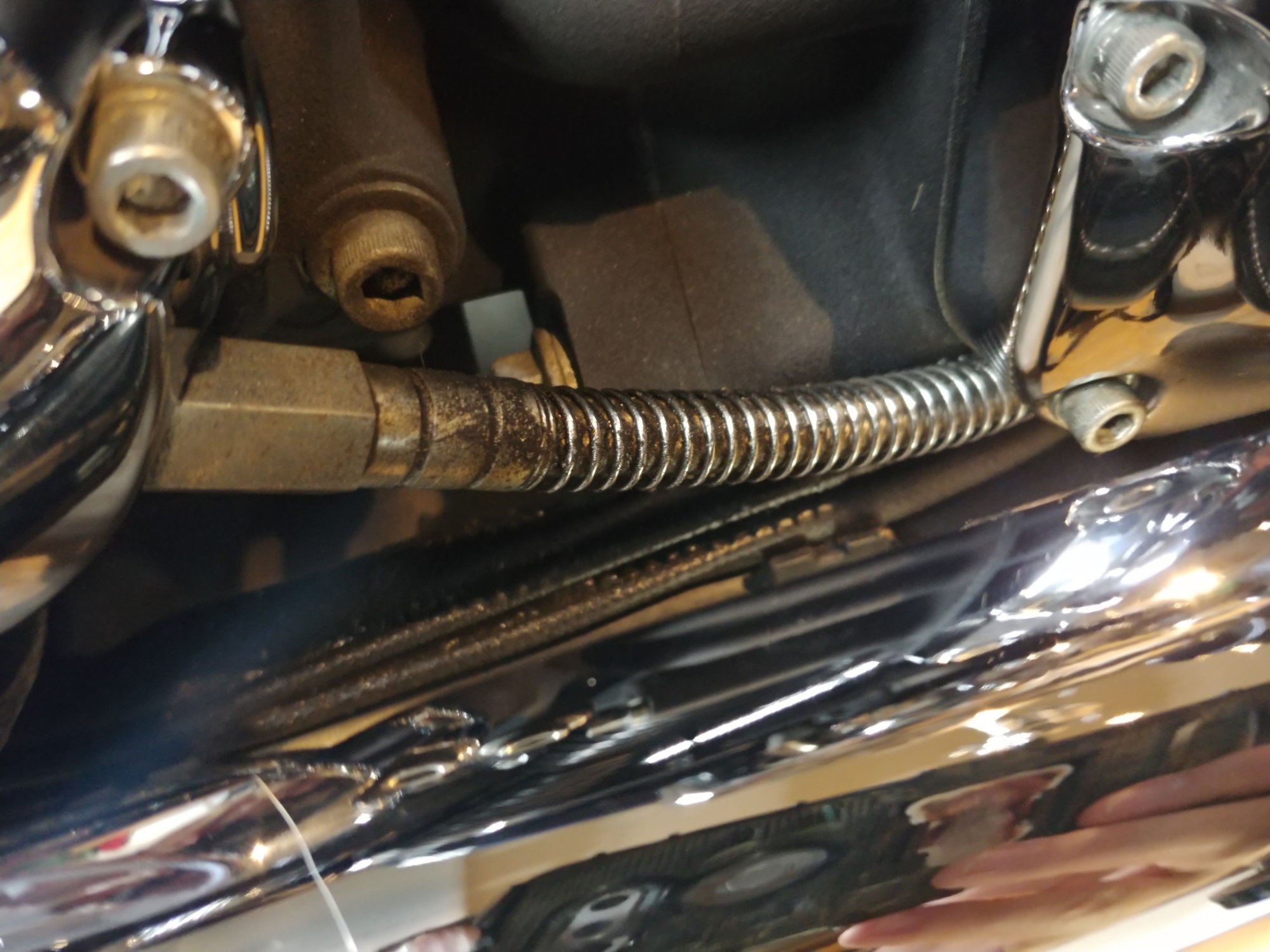 The Biggest Harley X West Leak Yet: What Happened? - qjfktc9