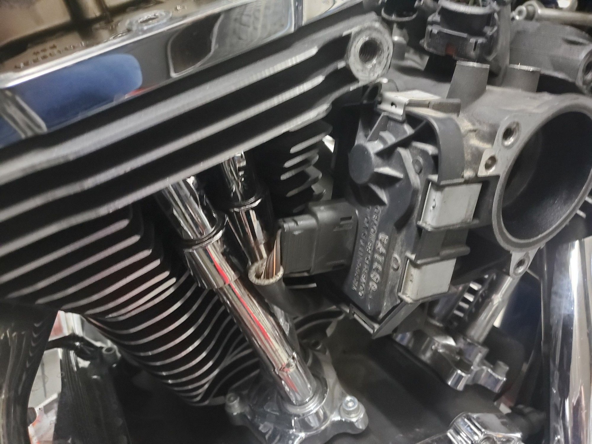 Throttle Body Wiring Harley Davidson Forums
