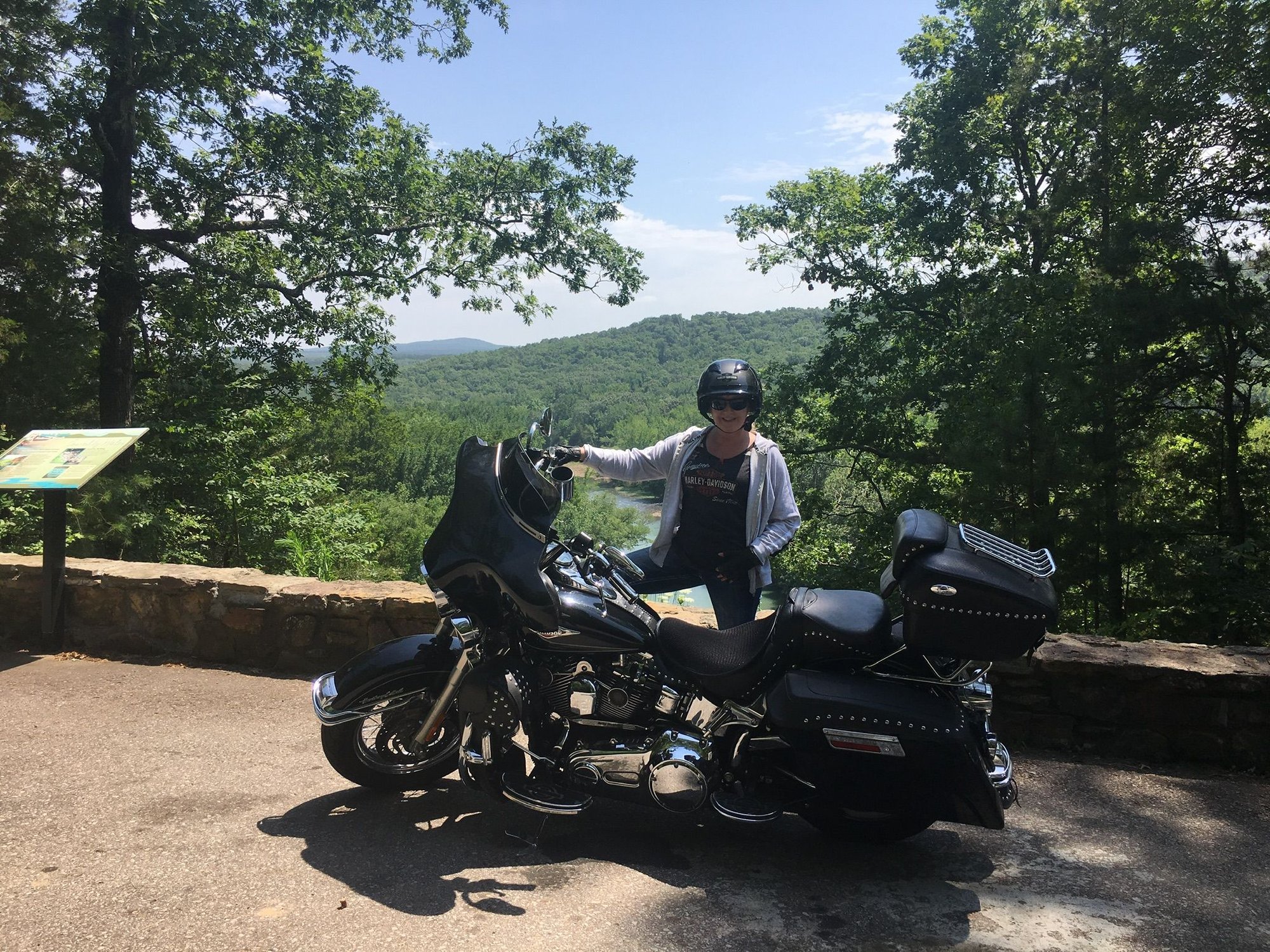 batwing harley davidson