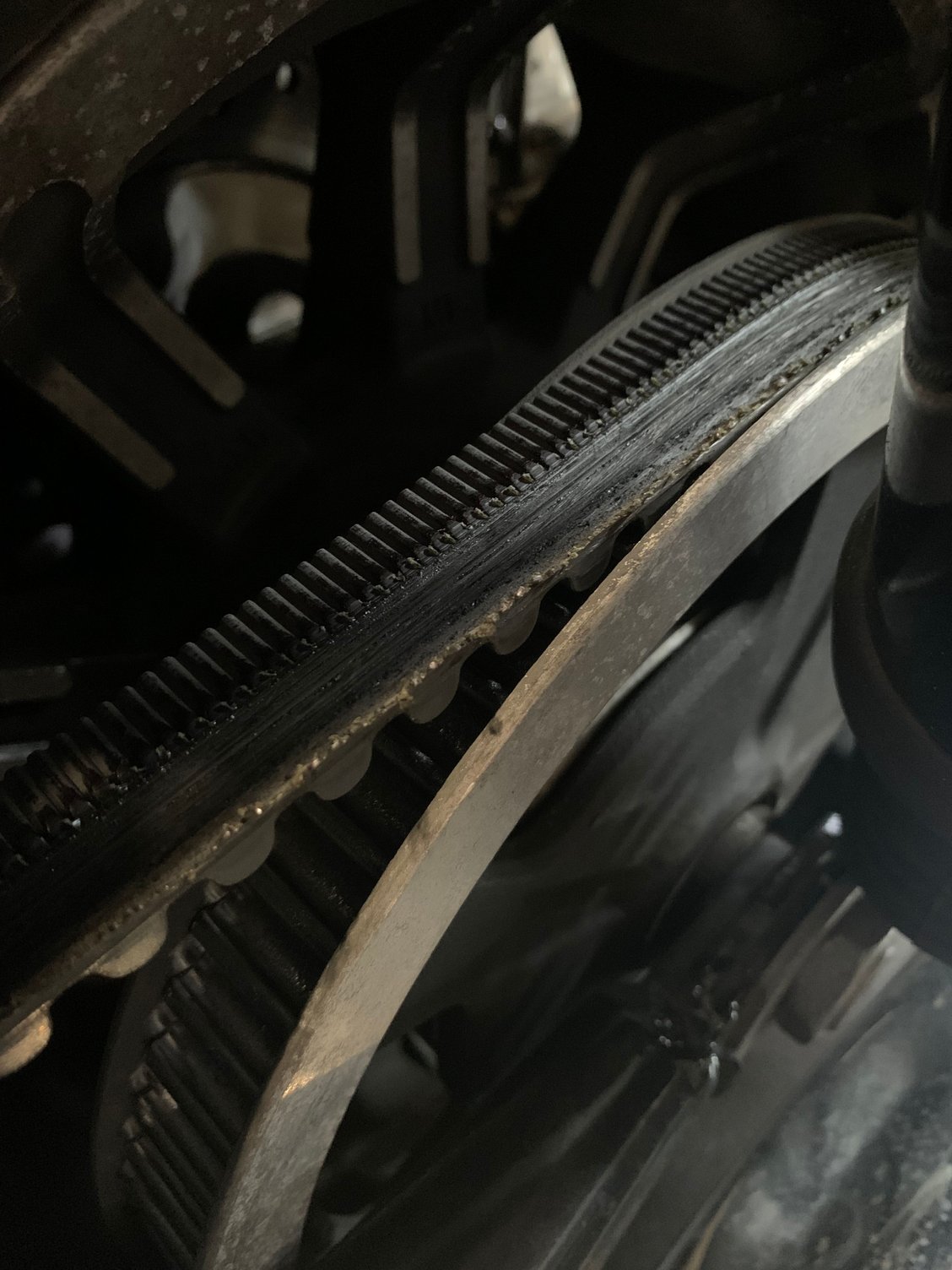 Belt Issue Harley Davidson Forums