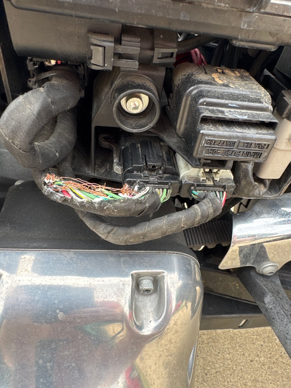 A critter moved into my fuse box over the winter and chewed up a wiring harness. What�s the damaged piece called? I�ve used google picture search and looked up the part numbers on several forums and maintenance manuals with no luck. 