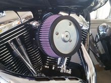 filter mounted and bolts torqued to 5 ft/p