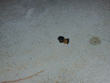 pulled the plugs out with wine cork tool.... yes.. a wine cork tool

thank you forum
