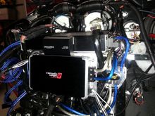 The bulb just clears the bottom of the cv amp. The bulb i have sticks out quite a bit out the back of the bucket.