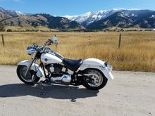 My Post Pictures