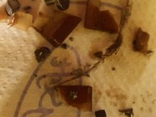 Debris in the Cam chest