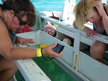 The glass bottom boat to Shark/Ray Alley with Captain Mitch at the helm