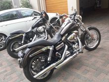 My FXDC & my FXD...& my dog :)
