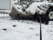 Look at all that ice.