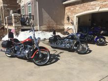 All three ready to go today.  