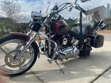 2007 Softail Custom